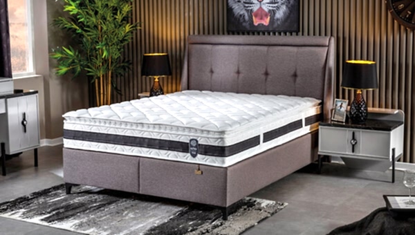 Hitit Baza-Başlık - 