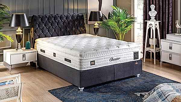 Lion Baza-Başlık - 