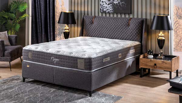 Maya Baza-Başlık - 