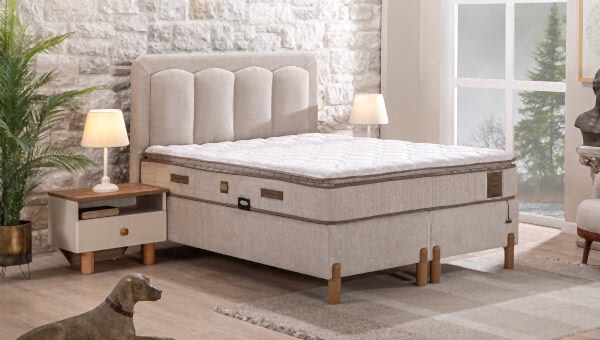 Sofya Baza-Başlık - 